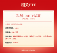 包括财务部门、销售部门、采购部门和证券投资